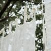 Cafégardin - Daisy panel